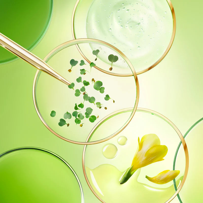 Die Reichhaltige Globale Anti-Aging-Creme