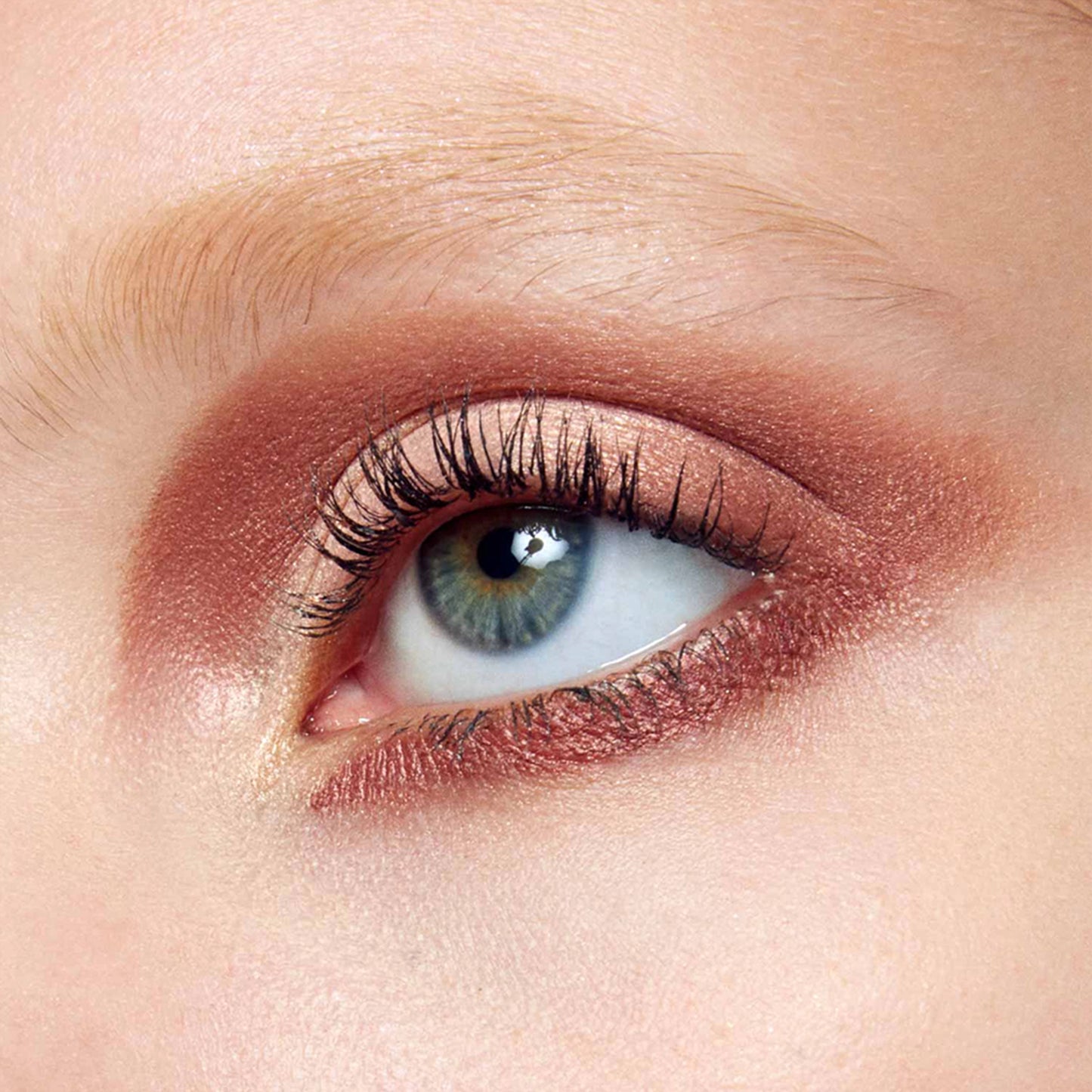 Eyeshadow Palette - Dysco