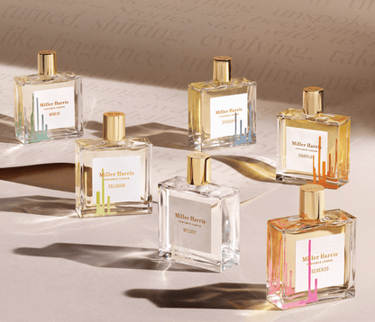 Tea Tonique / 100 ml