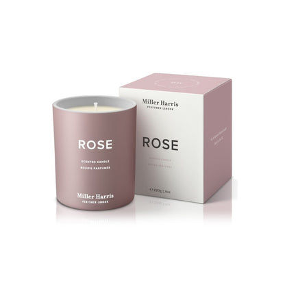 Rose Silence Collection