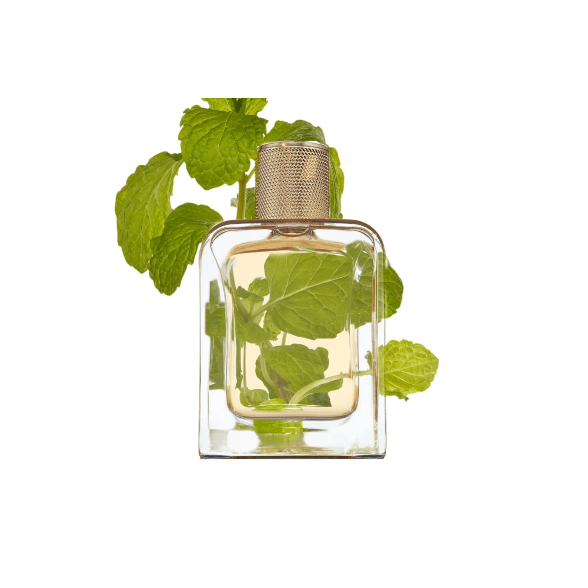Vert Desir, Eau De Parfum, Unisex / 85 ml