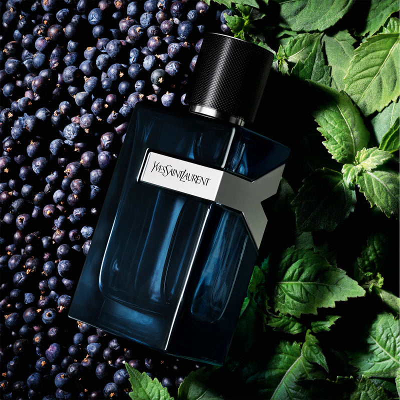 Y Intense, Eau De Parfum, For Men / 100 ml